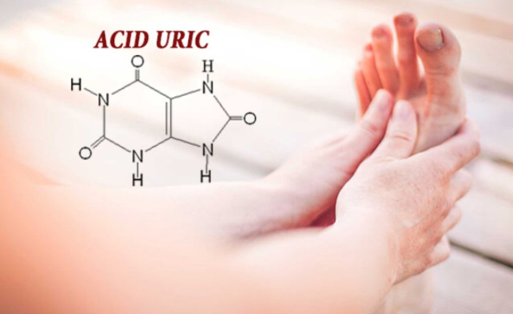 Định Nghĩa Acid Uric là gì? Tìm hiểu về chỉ số Acid Uric